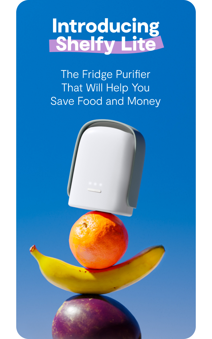 Shelfy Lite: Endgame for Food Waste